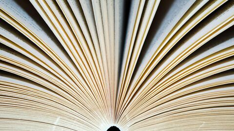 Buch (Symbolbild) Aufgeschlagenes Buch von unten betrachtet - die Seiten sind fächerförmig angeordnet.